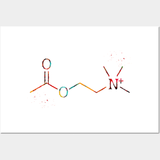 Acetylcholine molecule Posters and Art